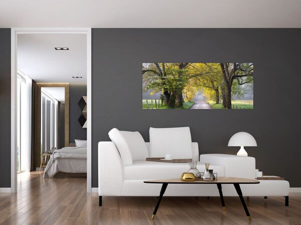 Slika - Smoky Mountains, Gatlinburg, ZDA (120x50 cm)