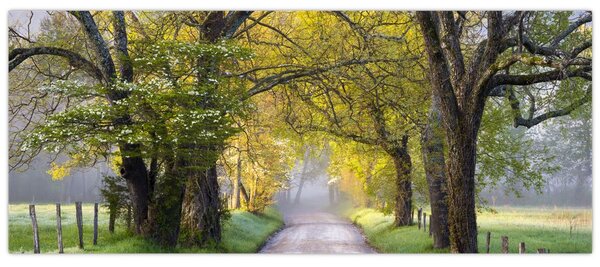 Slika - Smoky Mountains, Gatlinburg, ZDA (120x50 cm)