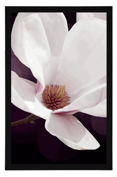 Plakat cvijet magnolije na apstraktnoj pozadini