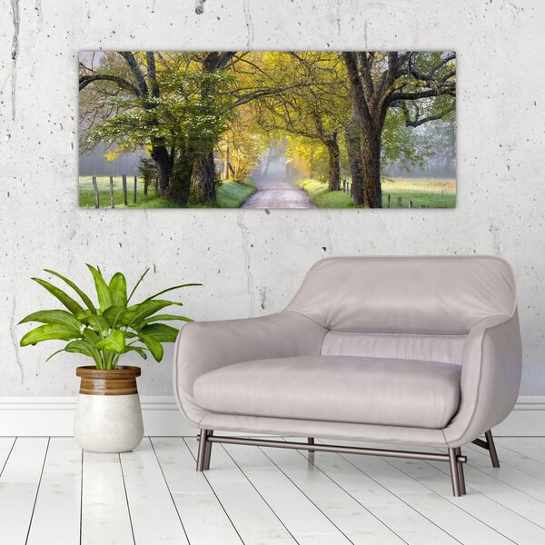 Slika - Smoky Mountains, Gatlinburg, ZDA (120x50 cm)