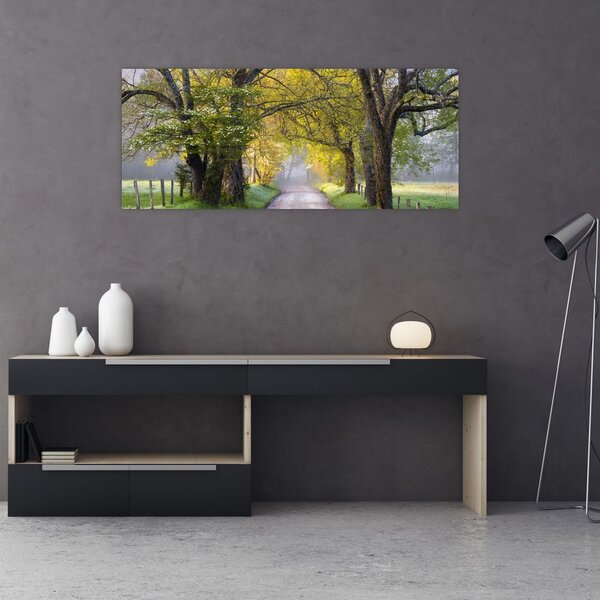 Slika - Smoky Mountains, Gatlinburg, ZDA (120x50 cm)
