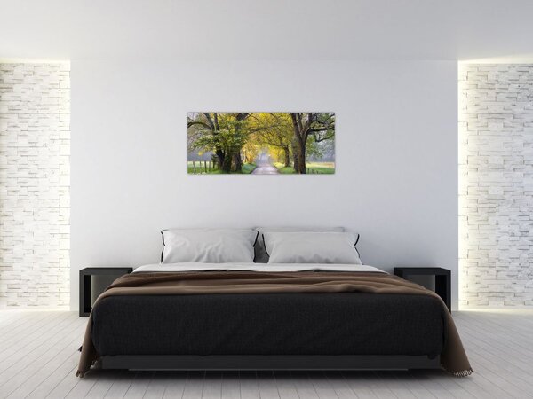 Slika - Smoky Mountains, Gatlinburg, ZDA (120x50 cm)