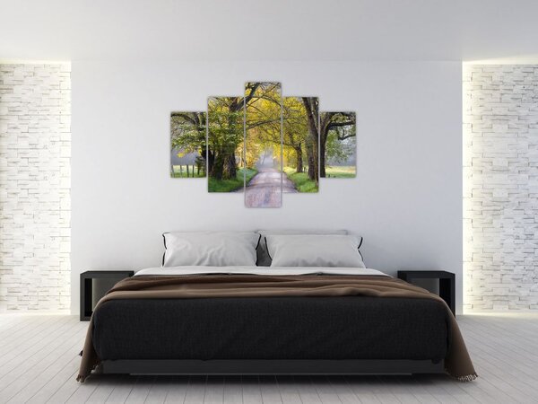 Slika - Smoky Mountains, Gatlinburg, ZDA (150x105 cm)