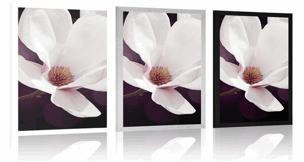 Plakat cvijet magnolije na apstraktnoj pozadini