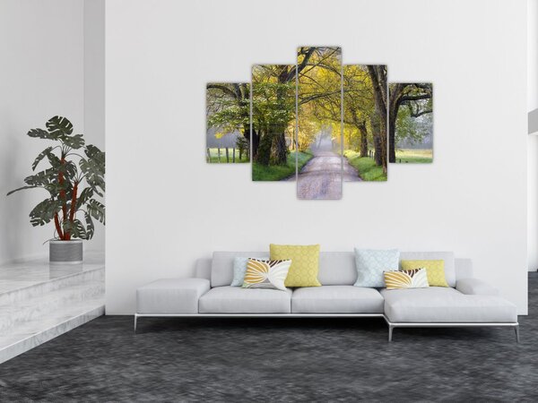 Slika - Smoky Mountains, Gatlinburg, ZDA (150x105 cm)