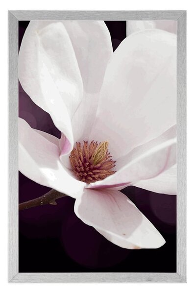 Plakat cvijet magnolije na apstraktnoj pozadini