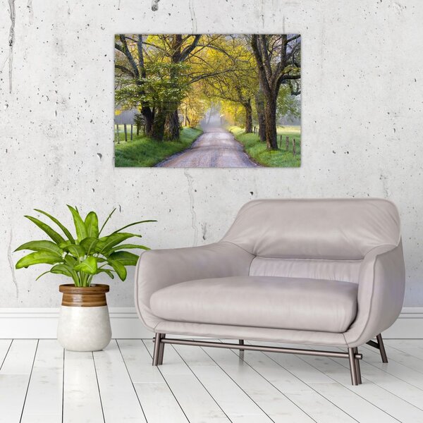 Slika - Smoky Mountains, Gatlinburg, ZDA (70x50 cm)