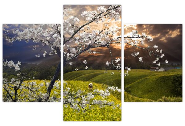 Slika - Cvetoče drevo v pokrajini (90x60 cm)
