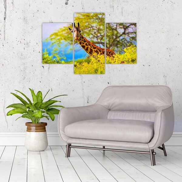 Slika žirafe v Afriki (90x60 cm)