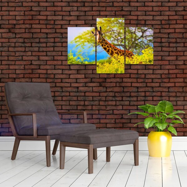 Slika žirafe v Afriki (90x60 cm)