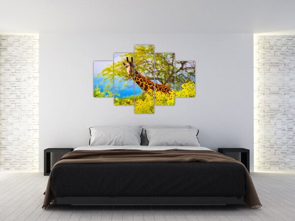Slika žirafe v Afriki (150x105 cm)