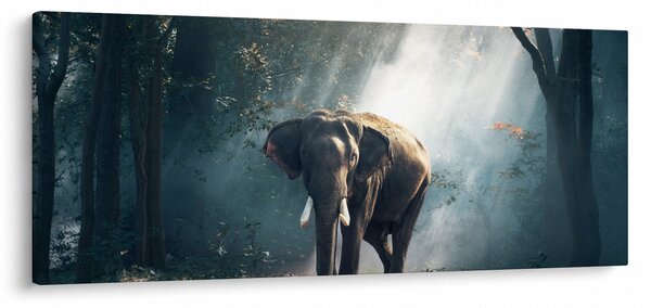 Slika slona u džungli (120x50 cm)