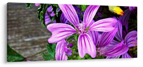 Slika - livadsko cvijeće (120x50 cm)