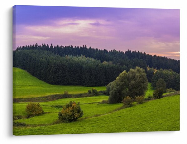 Slika livade (70x50 cm)