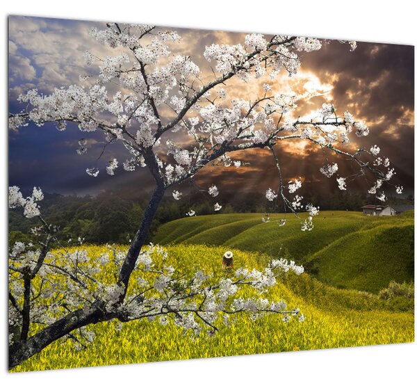Slika - Cvetoče drevo v pokrajini (70x50 cm)