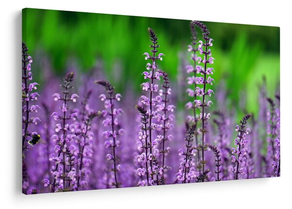 Slika ljubičastog livadskog bilja (90x60 cm)