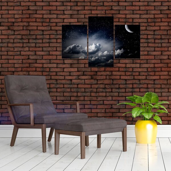Slika - Zvezdnato nebo (90x60 cm)