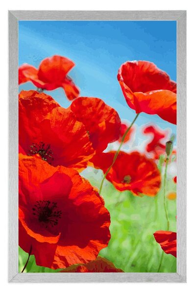 Plakat cvjetovi maka na livadi