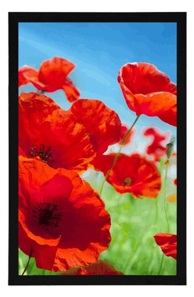 Plakat cvjetovi maka na livadi