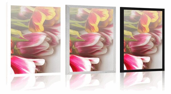 Plakat buket šarenih tulipana