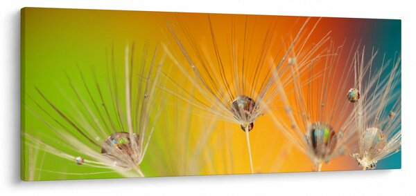 Slika kapljica na biljci (120x50 cm)