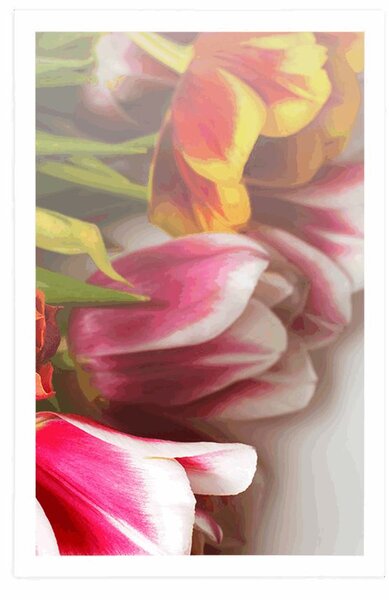 Plakat buket šarenih tulipana