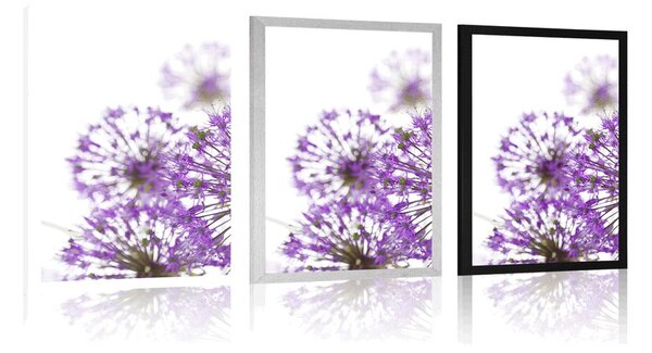 Plakat ljubičasto cvijeće crvenog luka u cvatu