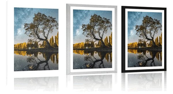 Plakat s paspartuom stablo ispod zvjezdanog neba