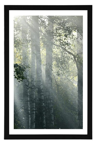 Plakat s paspartuom sunčeve zrake u maglovitoj šumi