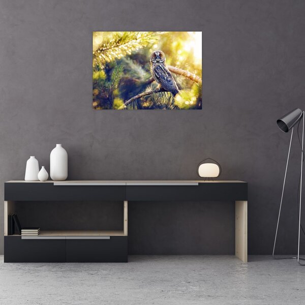 Slika sove na drevesu (70x50 cm)