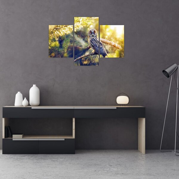 Slika sove na drevesu (90x60 cm)