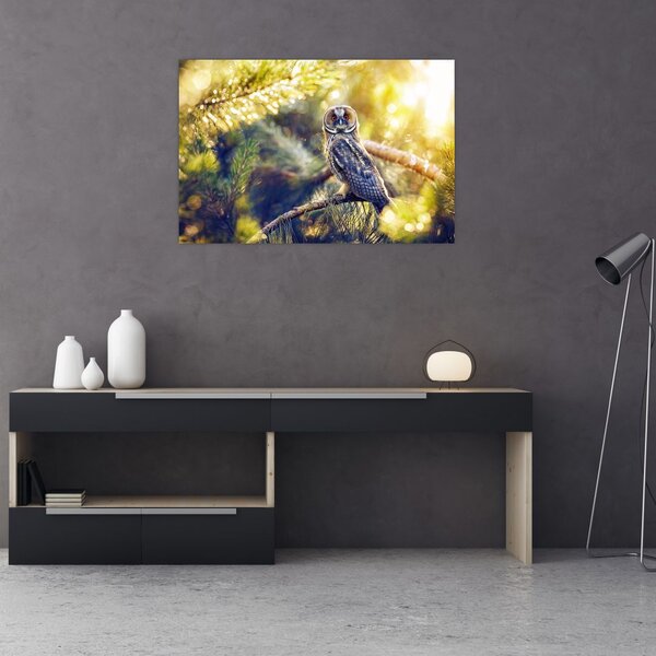 Slika sove na drevesu (90x60 cm)