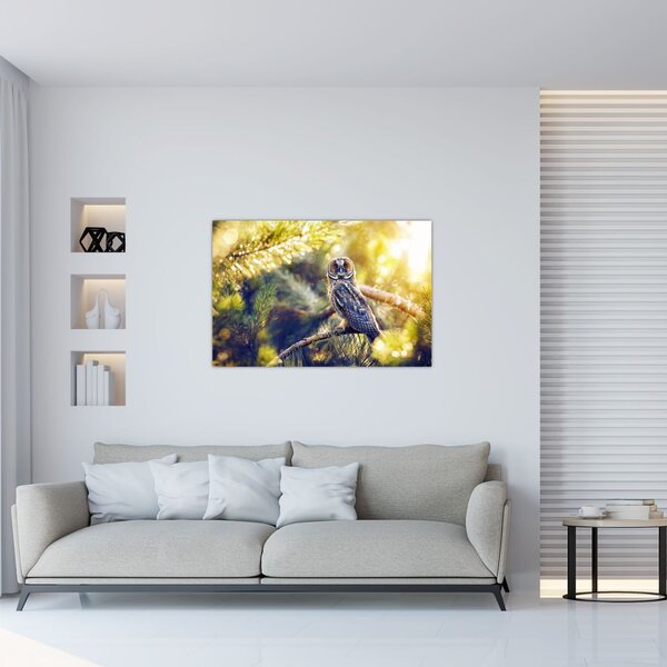 Slika sove na drevesu (90x60 cm)