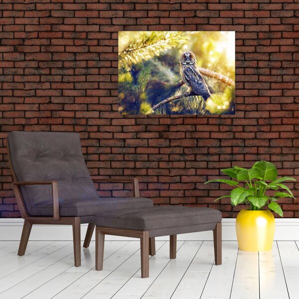 Slika sove na drevesu (70x50 cm)