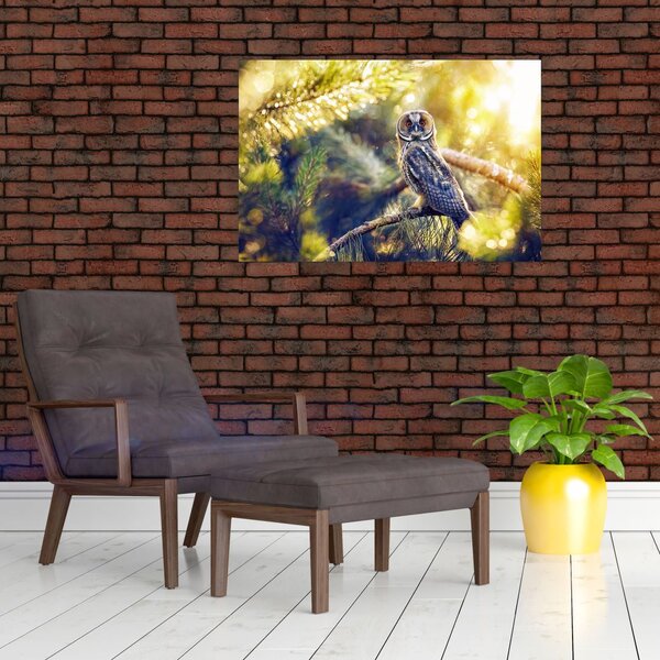 Slika sove na drevesu (90x60 cm)