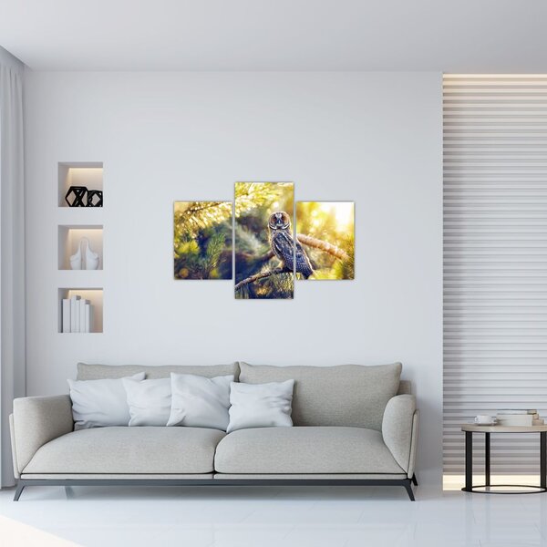 Slika sove na drevesu (90x60 cm)
