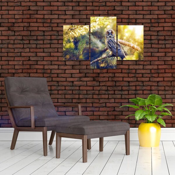 Slika sove na drevesu (90x60 cm)