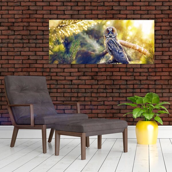 Slika sove na drevesu (120x50 cm)