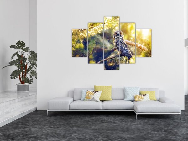 Slika sove na drevesu (150x105 cm)