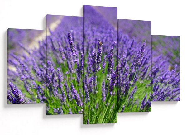 Slika - lavanda (150x105 cm)