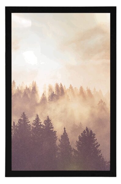 Plakat magla iznad šume