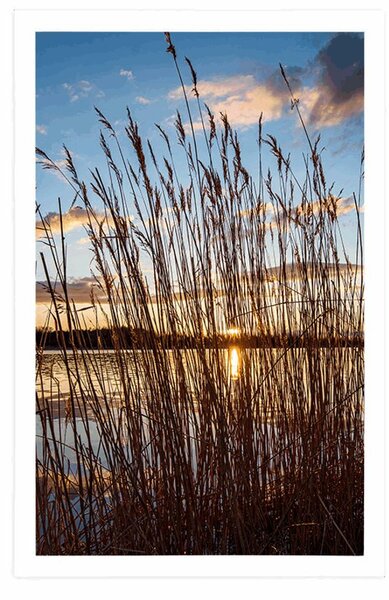 Plakat mirna rijeka u blizini sela