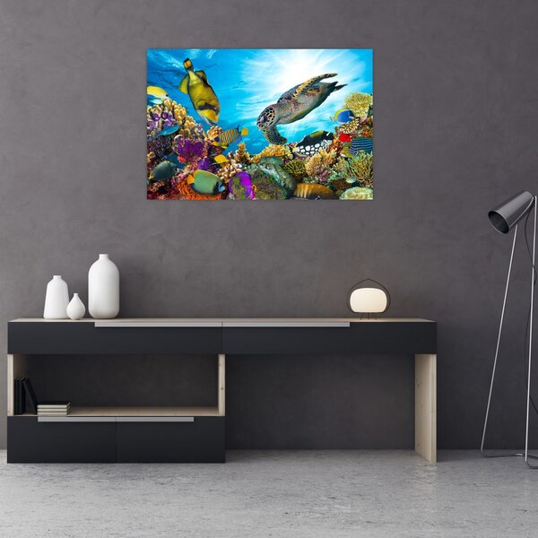 Slika koralnega grebena (90x60 cm)