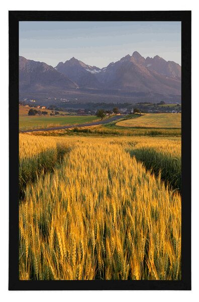 Plakat zalazak sunca nad pšeničnim poljem