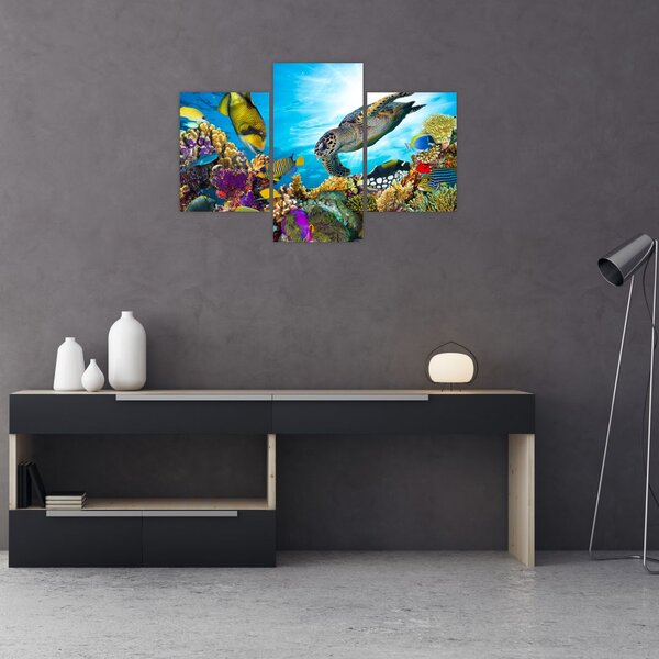Slika koralnega grebena (90x60 cm)