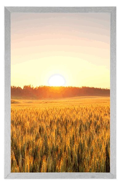 Plakat zalazak sunca nad poljem
