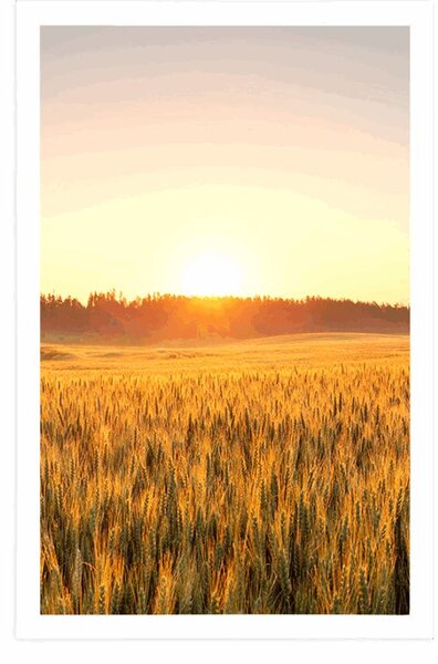 Plakat zalazak sunca nad poljem