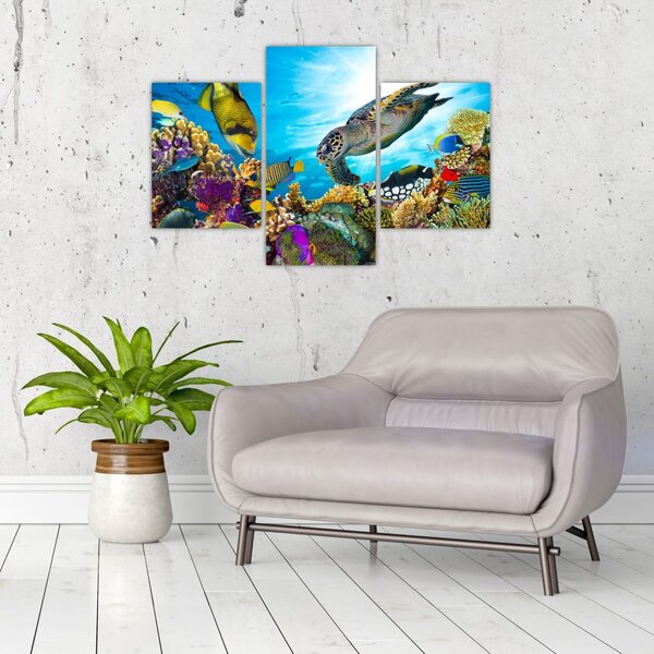 Slika koralnega grebena (90x60 cm)