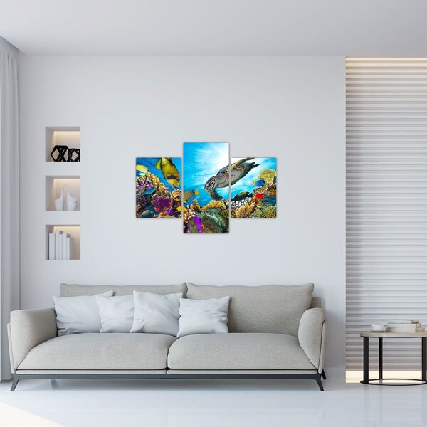 Slika koralnega grebena (90x60 cm)