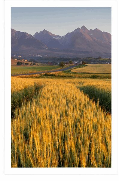 Plakat zalazak sunca nad pšeničnim poljem